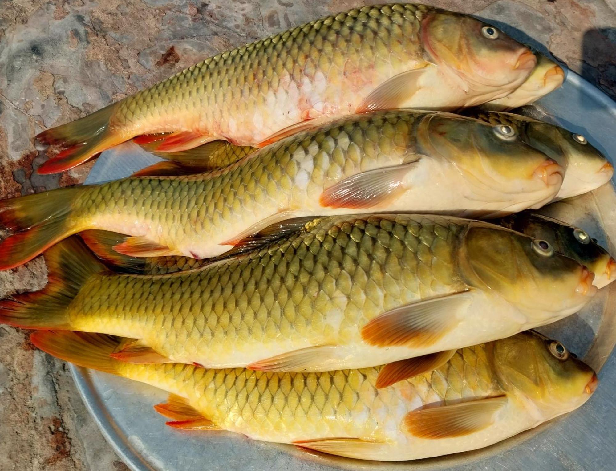 Nasan Green Farm Cao Bang Kültér fotó